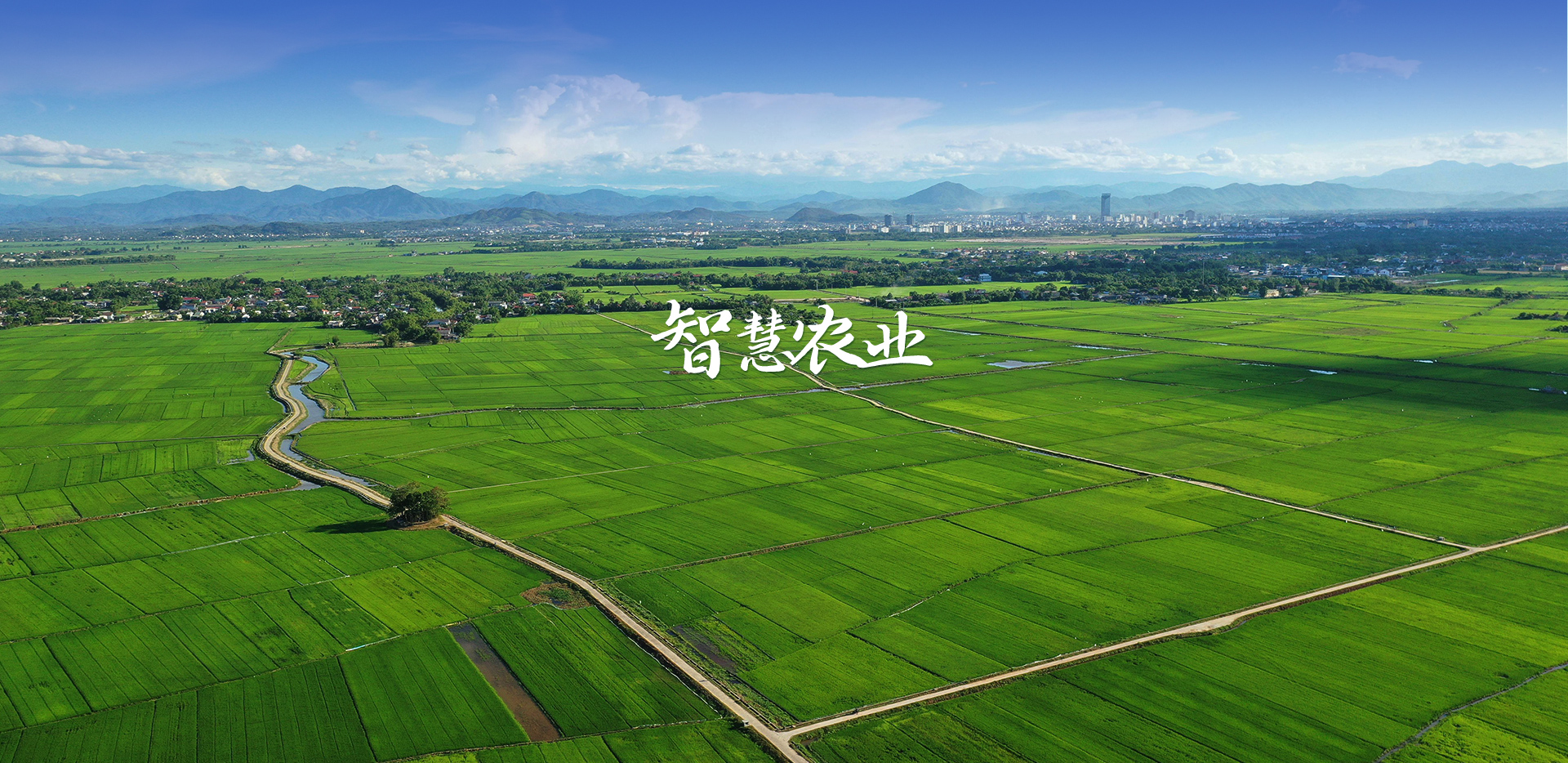 農業